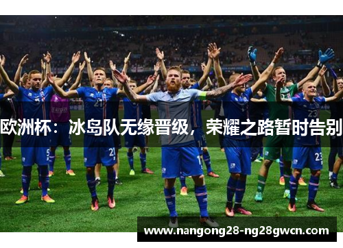 欧洲杯：冰岛队无缘晋级，荣耀之路暂时告别