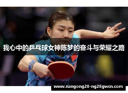 我心中的乒乓球女神陈梦的奋斗与荣耀之路