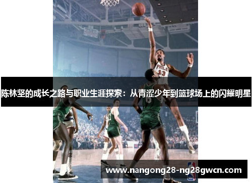 陈林坚的成长之路与职业生涯探索：从青涩少年到篮球场上的闪耀明星